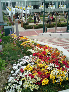 b0043506_22441782.jpg