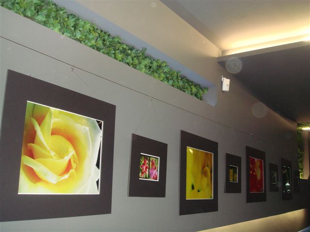 c0226907_015696.jpg