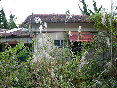 e0103408_2010528.jpg