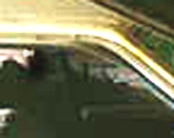 e0103408_2010860.jpg