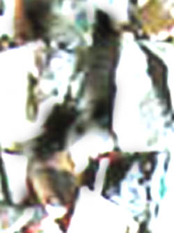 e0103408_2064261.jpg