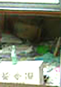 e0103408_2071851.jpg