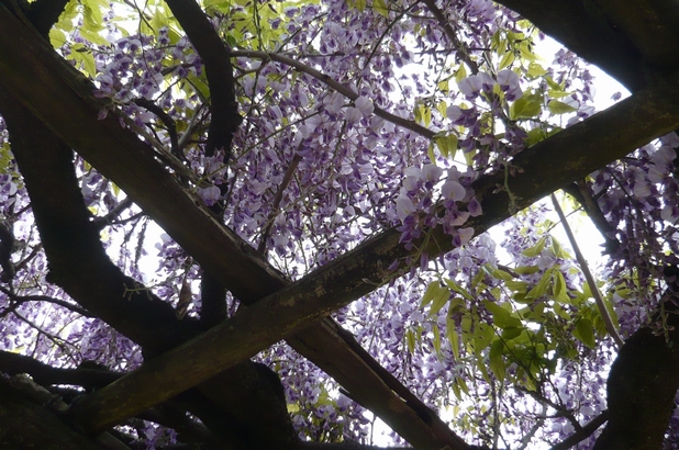 f0221708_2155579.jpg