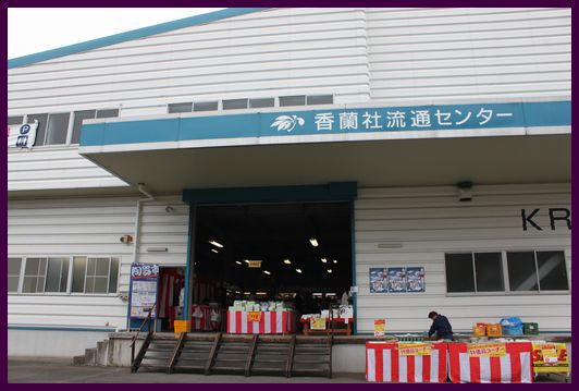 b0176210_1713214.jpg
