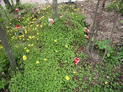 c0190010_22445030.jpg