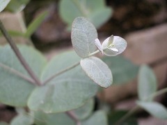 c0190010_22505158.jpg