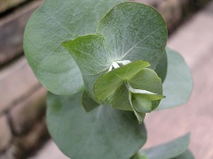 c0190010_22512746.jpg