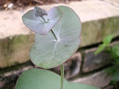 c0190010_2251347.jpg