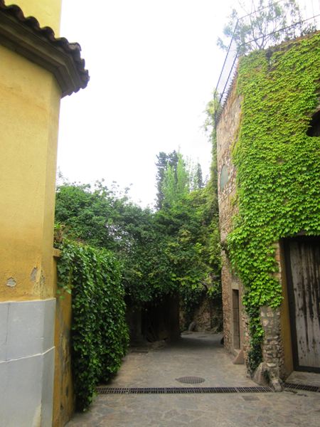 b0064411_5253159.jpg