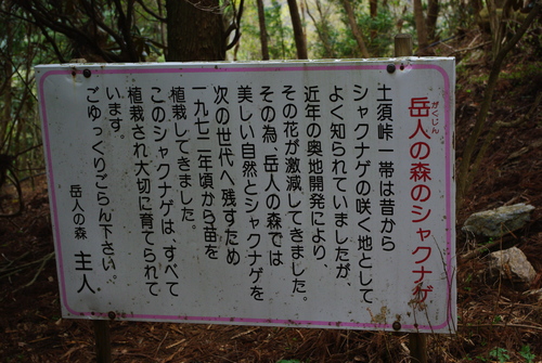f0187011_11574680.jpg