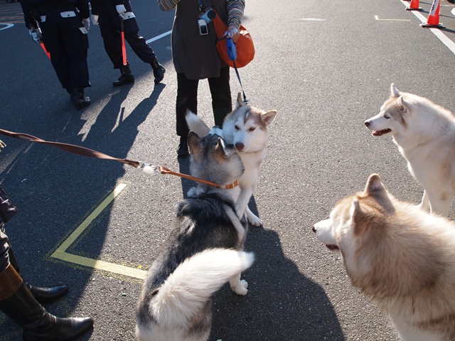 b0207615_17414479.jpg
