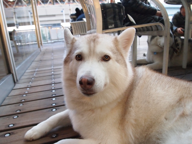 b0207615_184057.jpg