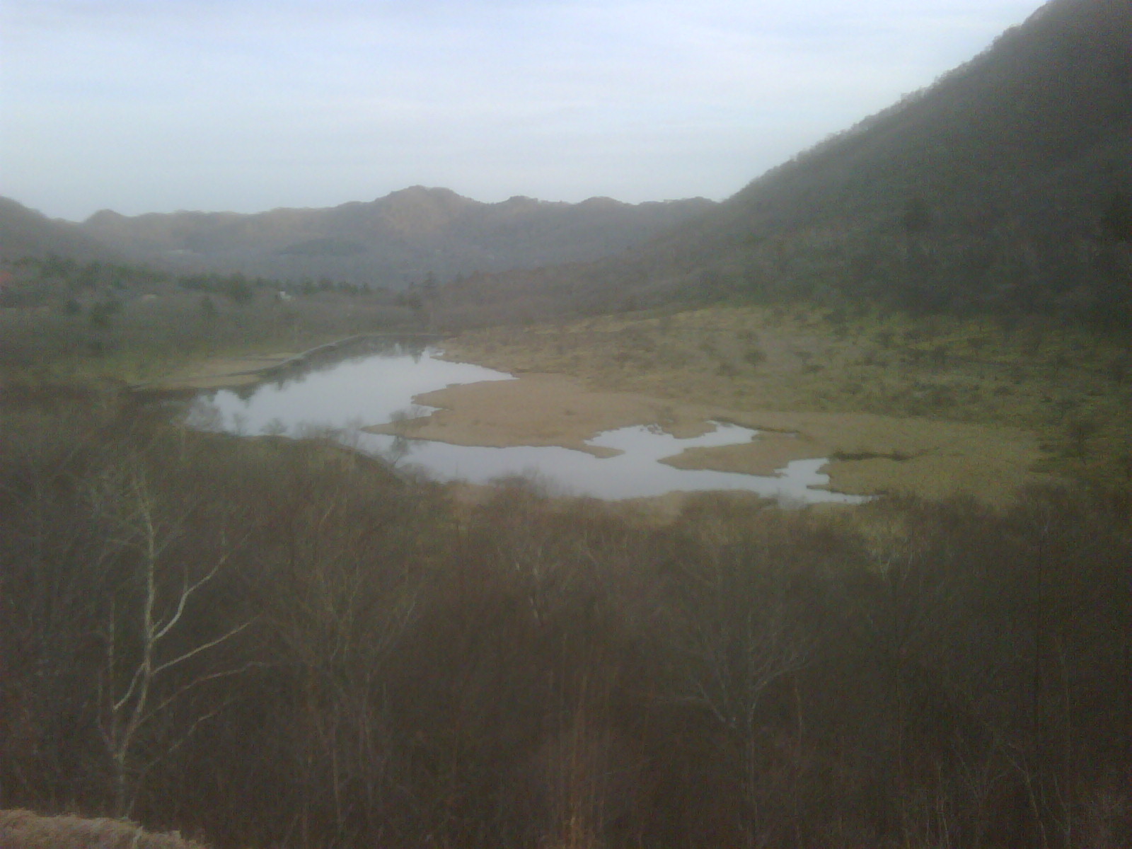 a0052417_7225378.jpg