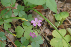 f0217217_854116.jpg