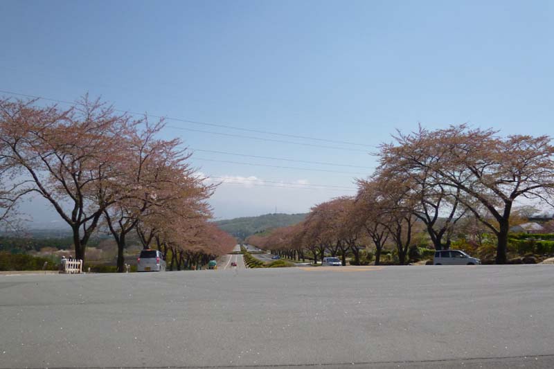 b0074818_18384346.jpg