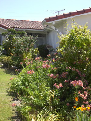 f0105318_11293782.jpg