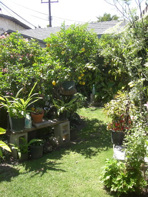 f0105318_11295548.jpg