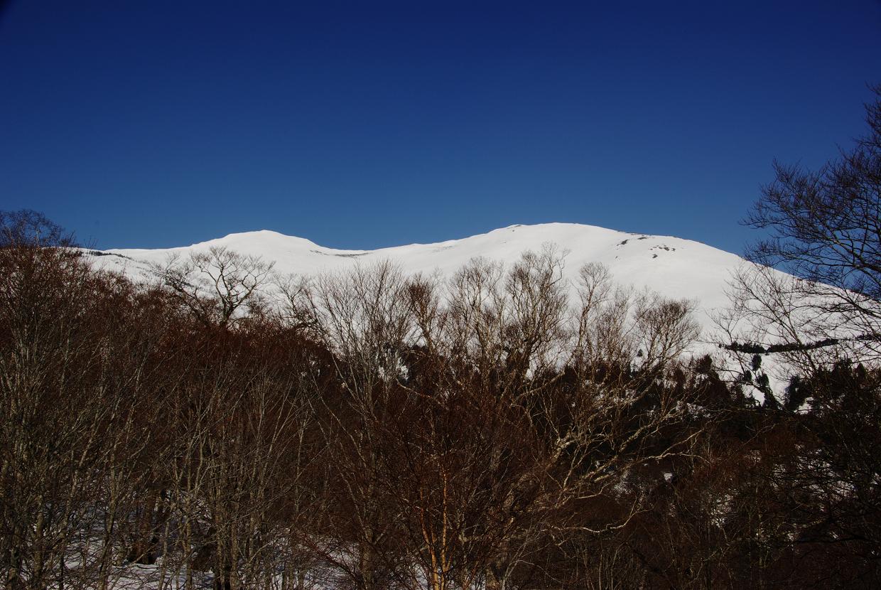 b0062024_9383427.jpg