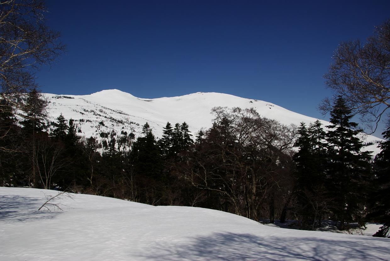b0062024_955968.jpg
