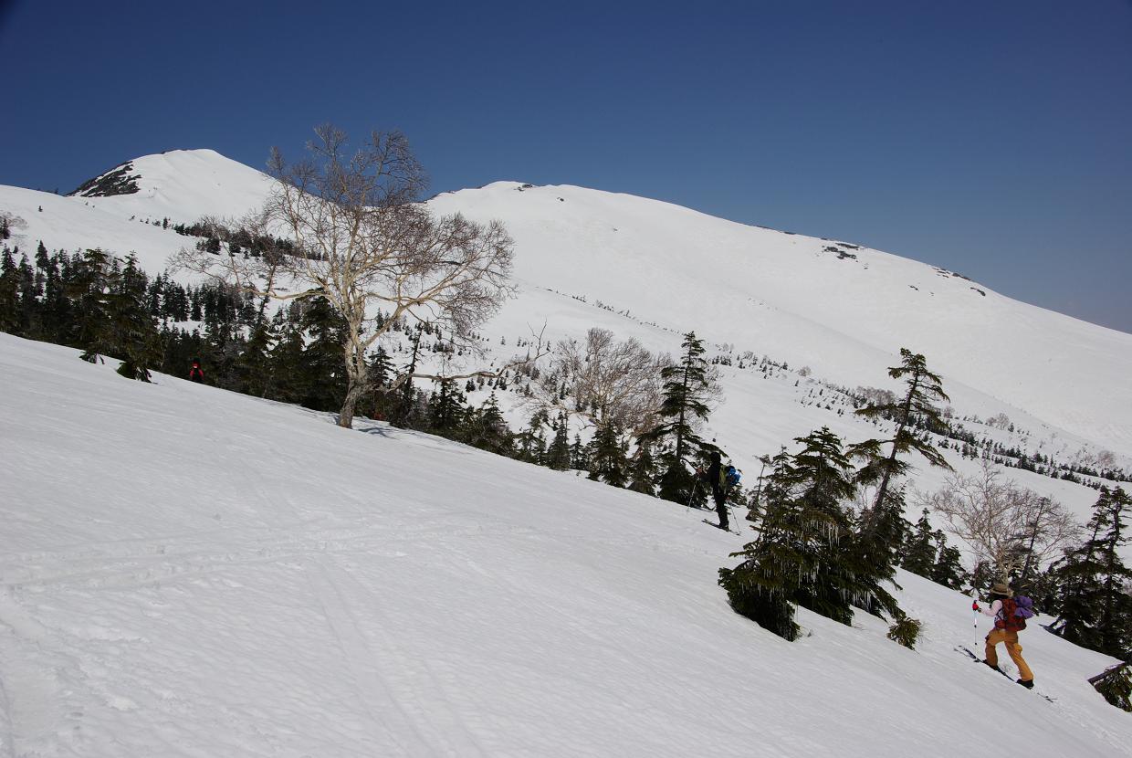 b0062024_957643.jpg