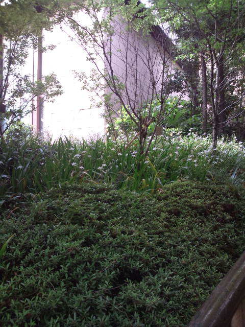 d0077029_9362551.jpg