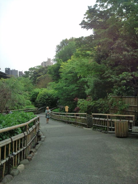 d0077029_936818.jpg