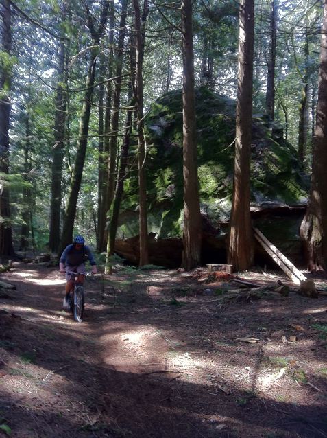 e0128129_12103451.jpg
