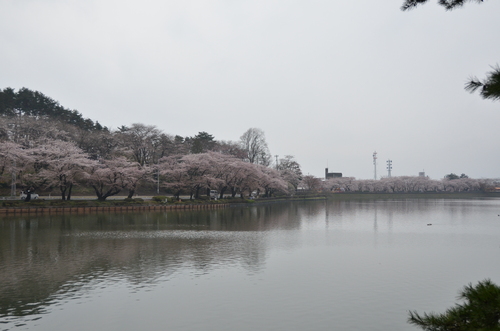 d0156438_1939887.jpg