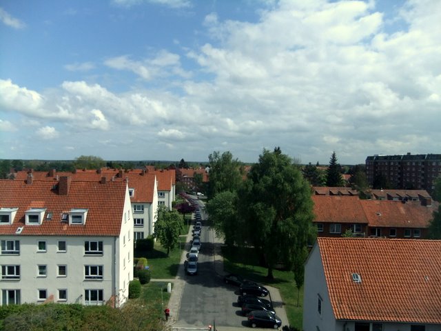 f0210340_1304163.jpg