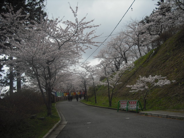 c0194042_2041249.jpg