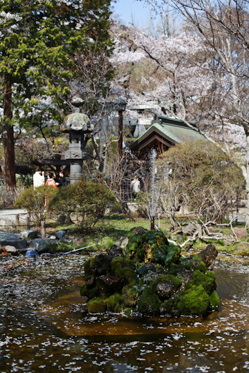 d0008146_10282689.jpg