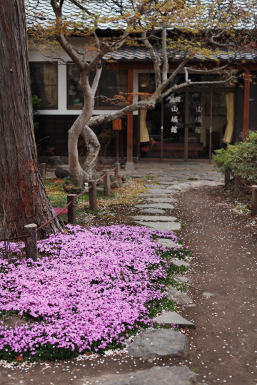 d0008146_1255250.jpg
