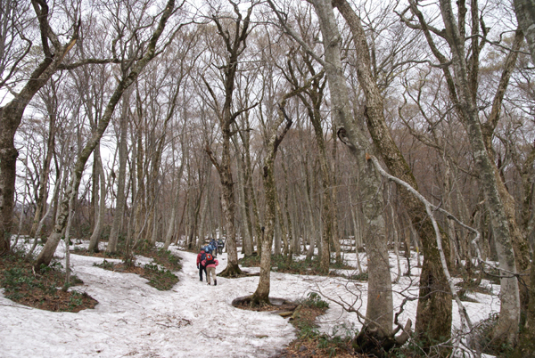 f0214649_6341792.jpg