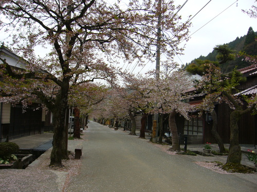 b0174451_1210193.jpg