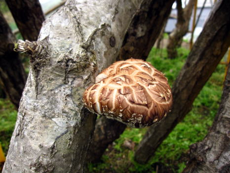 c0147952_2232194.jpg