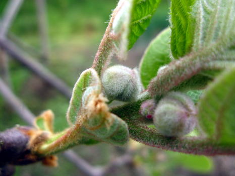 c0147952_2234317.jpg
