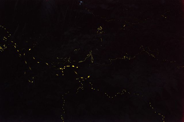 e0134752_22381860.jpg