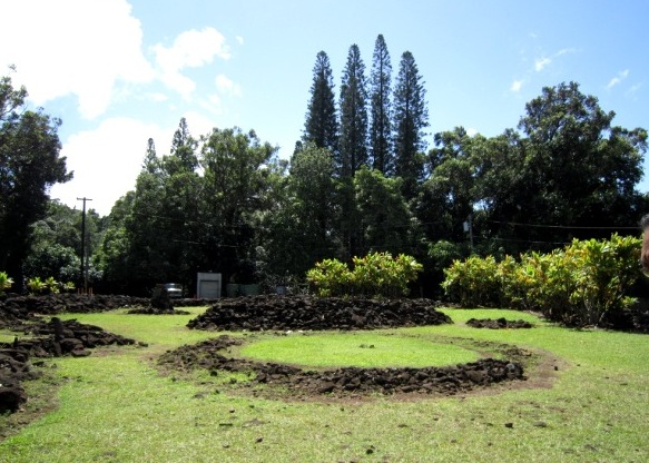 b0173754_6353663.jpg