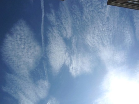b0173754_9552056.jpg