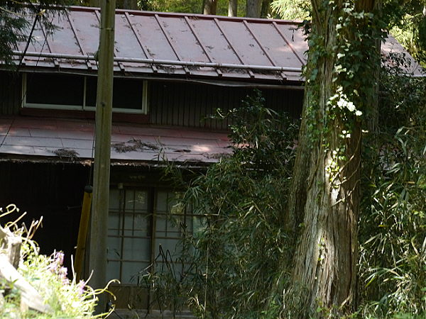 d0091754_0363599.jpg