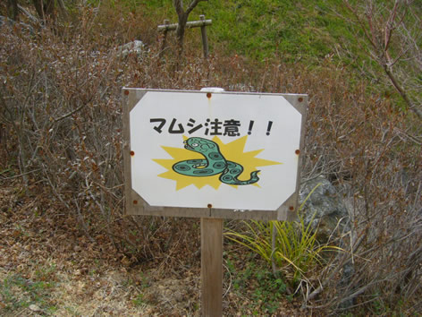 f0067354_13271377.jpg
