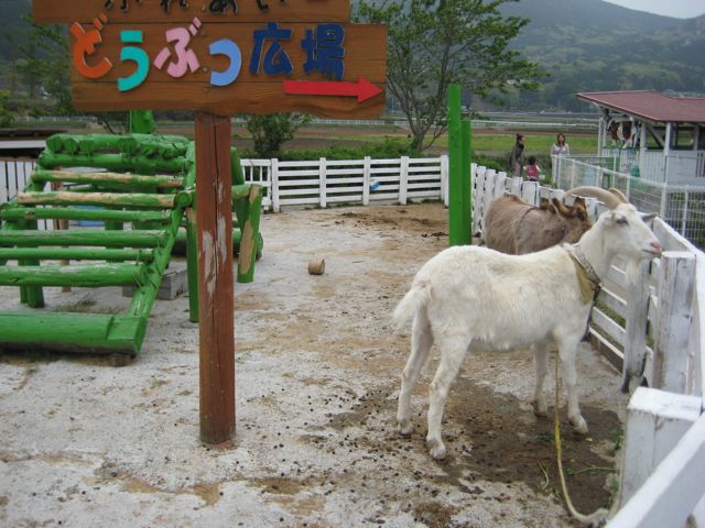 f0191656_18564329.jpg