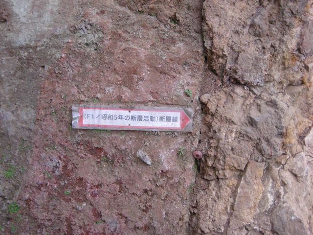 f0191656_1933421.jpg