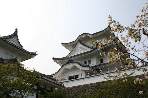 b0092958_17153252.jpg