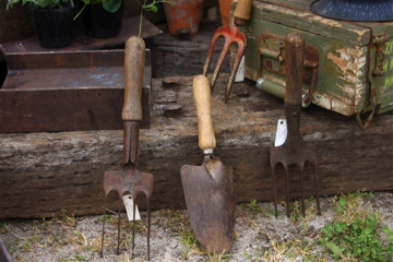 e0014058_1844834.jpg