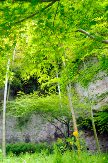f0176458_13201153.jpg