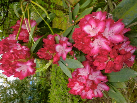 f0208758_1805798.jpg