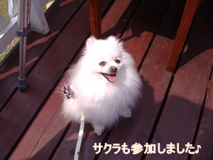 d0054461_8312413.jpg