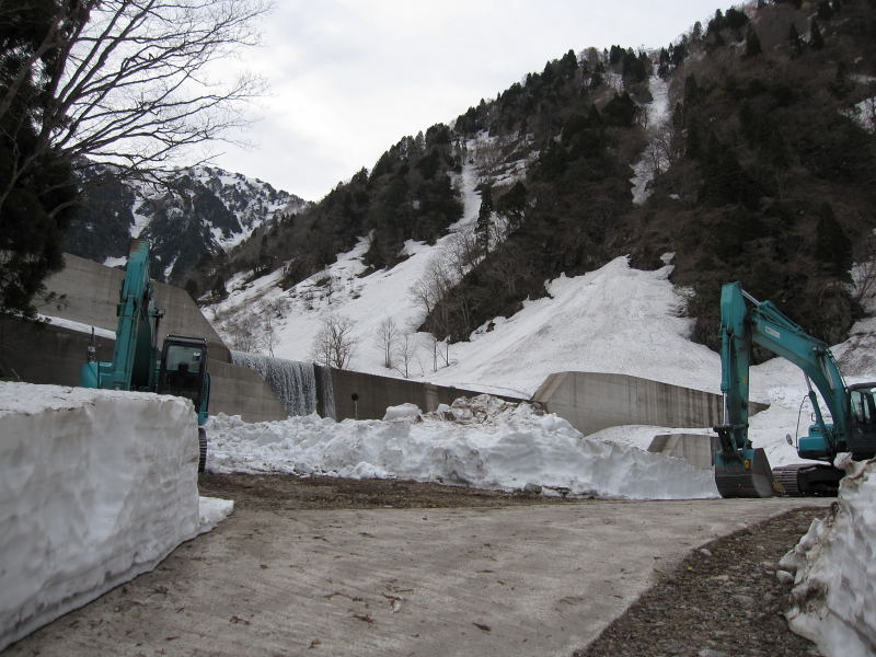 a0196565_1703898.jpg