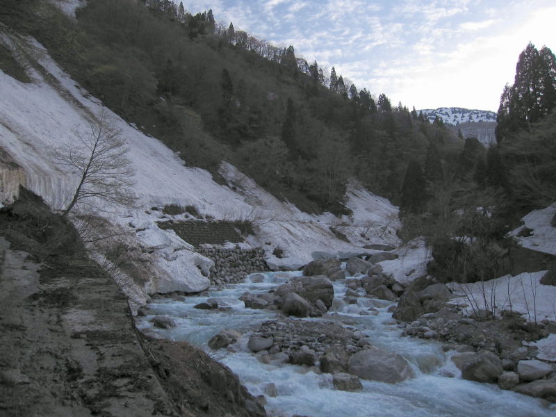 a0196565_170648.jpg